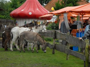 15 juni 2008: Opendag Ezelshoeve