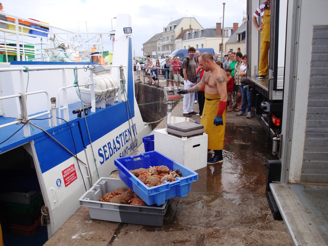 Vanuit waterbakken in de boot, in kratten, gewogen op 25 kg naar waterbakken in de vrachtwagen. Elke dag 1500 kg