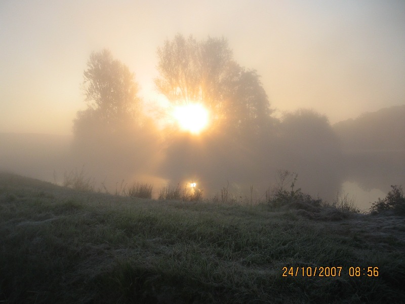 Morgenstond heeft goud in de mond ... 